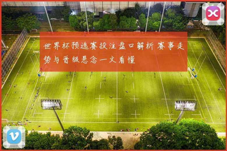 世界杯预选赛投注盘口解析 赛事走势与晋级悬念一文看懂