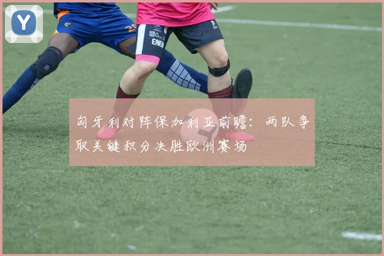 匈牙利对阵保加利亚前瞻：两队争取关键积分决胜欧洲赛场