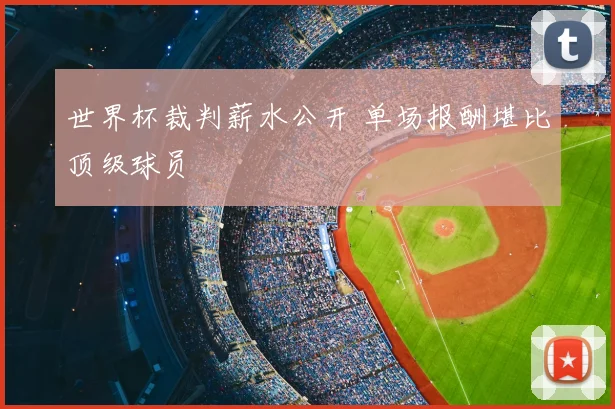 世界杯裁判薪水公开 单场报酬堪比顶级球员