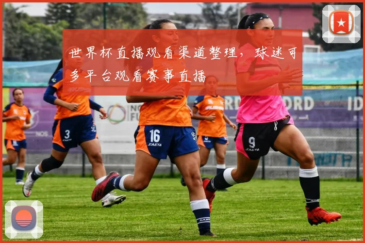 世界杯直播观看渠道整理，球迷可多平台观看赛事直播