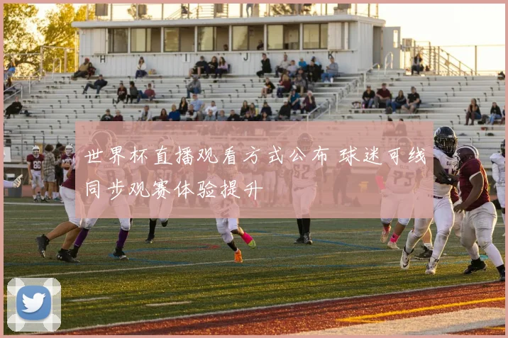 世界杯直播观看方式公布 球迷可线同步观赛体验提升