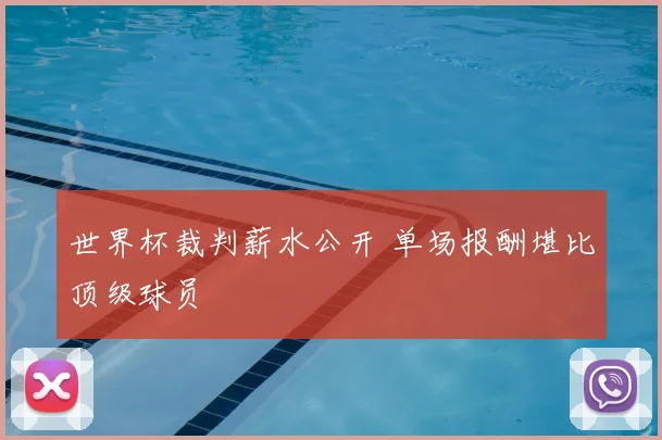 世界杯裁判薪水公开 单场报酬堪比顶级球员